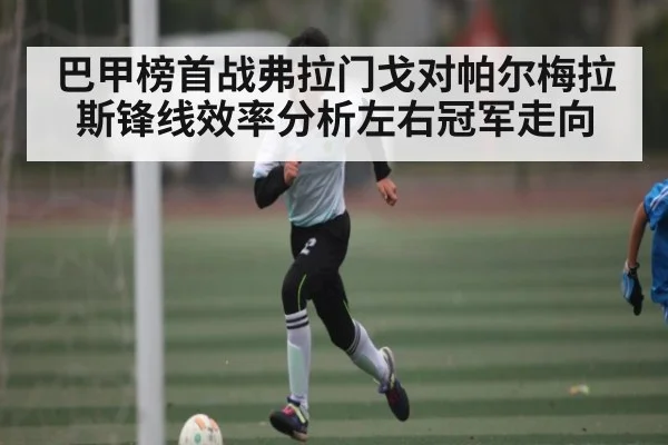 巴甲榜首战弗拉门戈对帕尔梅拉斯锋线效率分析左右冠军走向